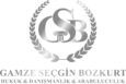 Gamze Seçgin Bozkurt